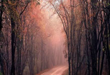 亚洲足球比赛引发各国球迷狂热