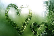 拜仁慕尼黑迎接新挑战，实力尽显