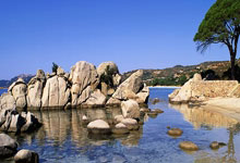 德国对阵土耳其，硬仗即将上演